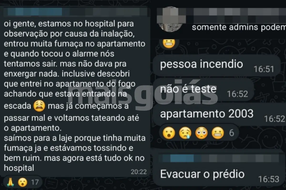 Prints das conversas