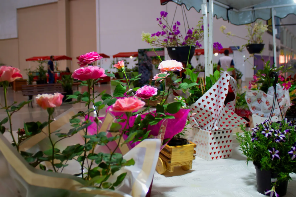 Bazar Estação das Plantas_Divulgação