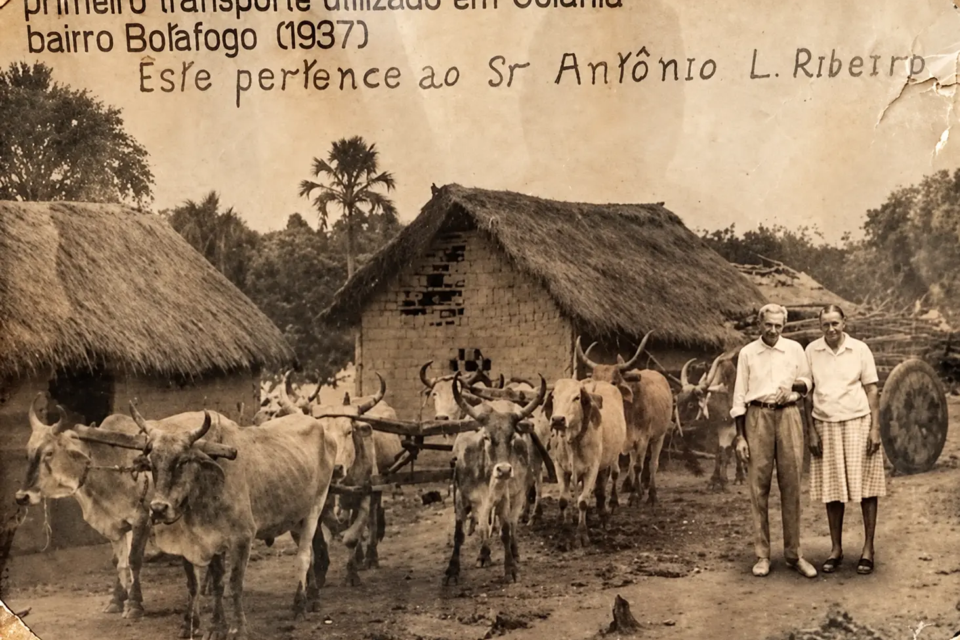 Registro de 1937 no bairro Botafogo mostra carro de bois identificado na própria fotografia como o primeiro transporte utilizado em Goiânia. O veículo pertencia a Antônio L. Ribeiro (Foto: reprodução)