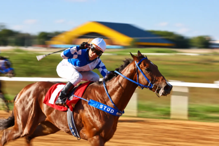 Corrida de Cavalos em Alta Velocidade