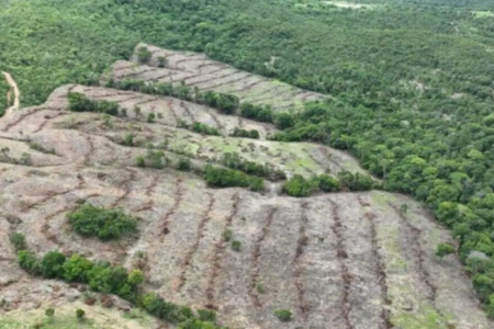 Área desmatada em Goiás