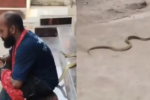 Homem morre após ser picado por cobra venenosa enquanto gravava vídeos para redes sociais; assista Tapan Kumar Pradhan resgatar serpentes